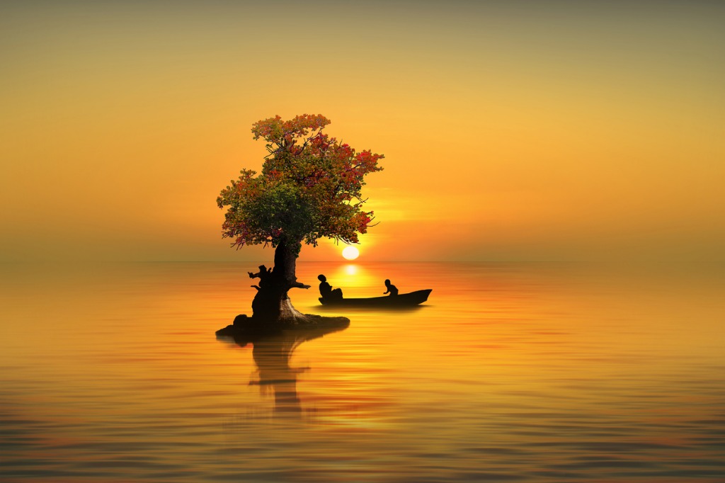 Fine Art Photography Explained